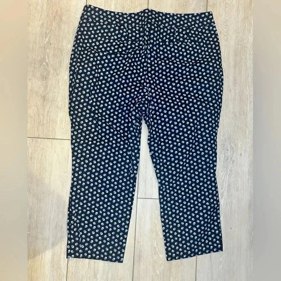 Ann Taylor Skinny Ankle Pants Blue Dot Sixe 16 - Picture 1 of 6
